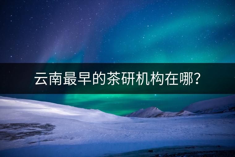 云南最早的茶研機構(gòu)在哪？