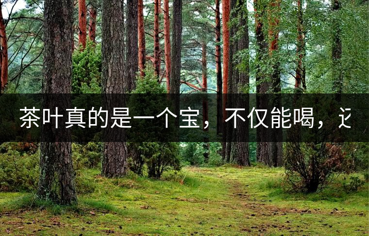 茶葉真的是一個寶，不僅能喝，還能用！