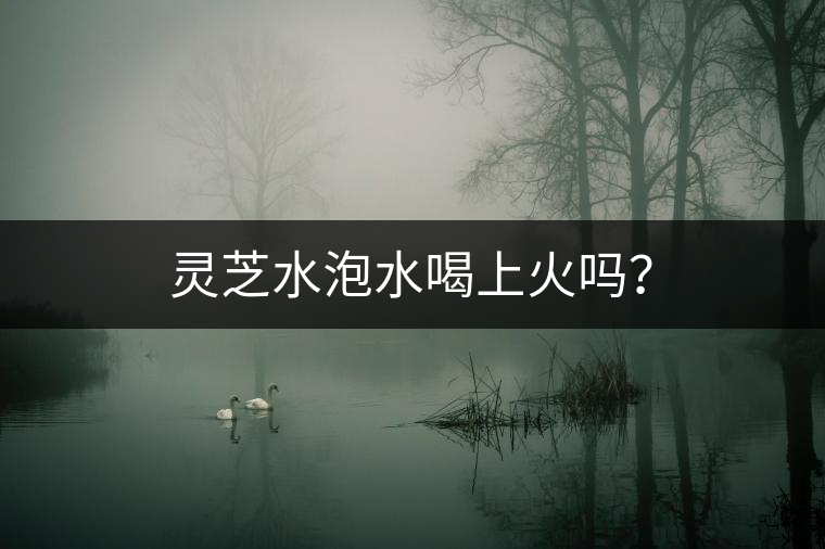 靈芝水泡水喝上火嗎？