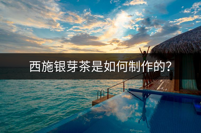 西施銀芽茶是如何制作的？