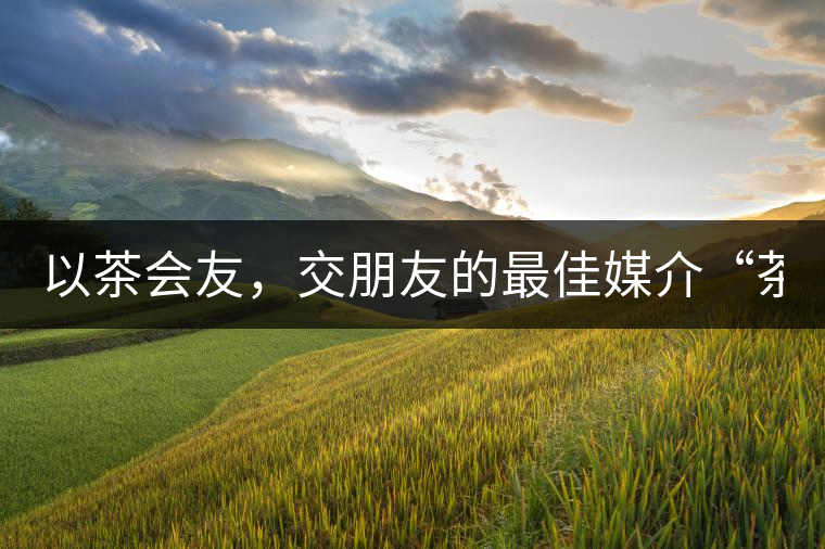 以茶會友，交朋友的最佳媒介“茶”！