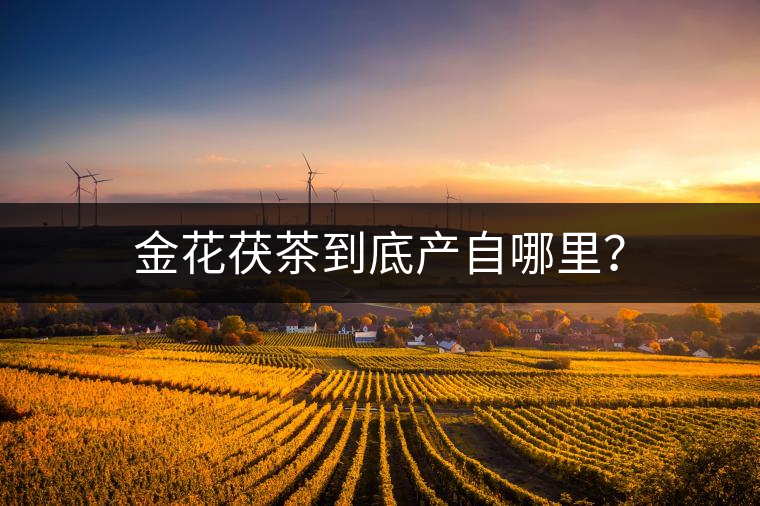 金花茯茶到底產(chǎn)自哪里？