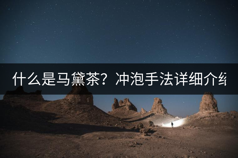 什么是馬黛茶？沖泡手法詳細介紹！