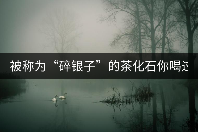被稱(chēng)為“碎銀子”的茶化石你喝過(guò)嗎？