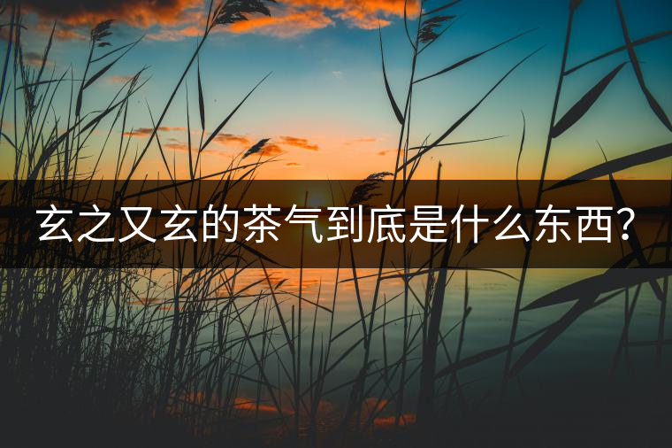 玄之又玄的茶氣到底是什么東西？