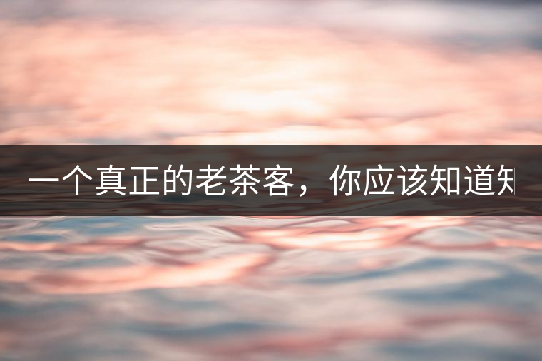 一個真正的老茶客，你應該知道知識點！