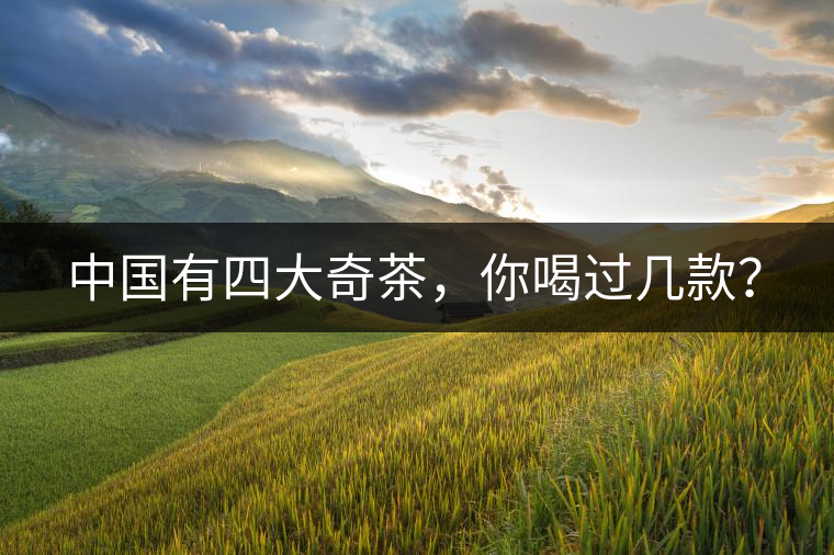中國(guó)有四大奇茶，你喝過(guò)幾款？