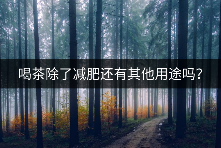 喝茶除了減肥還有其他用途嗎？