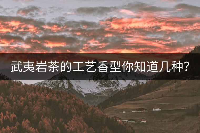 武夷巖茶的工藝香型你知道幾種？