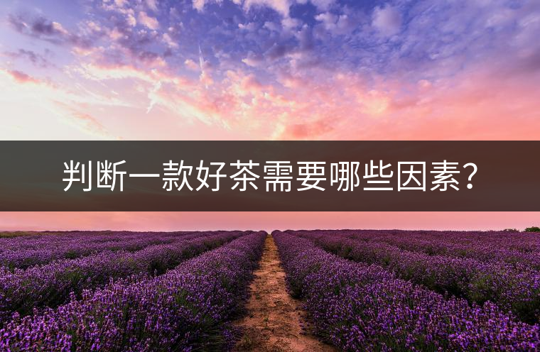 判斷一款好茶需要哪些因素？