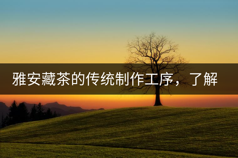 雅安藏茶的傳統(tǒng)制作工序，了解了傳統(tǒng)技藝才能更好的了解茶品！