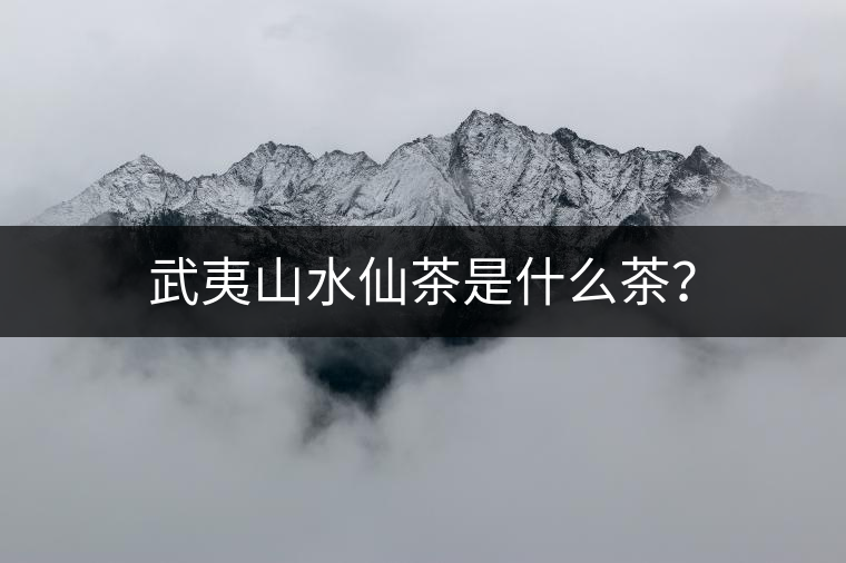 武夷山水仙茶是什么茶？