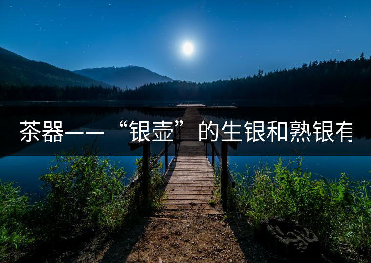 茶器——“銀壺”的生銀和熟銀有什么區(qū)別嗎？