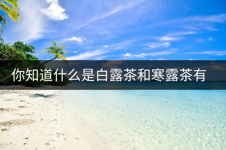 你知道什么是白露茶和寒露茶有區(qū)別嗎？