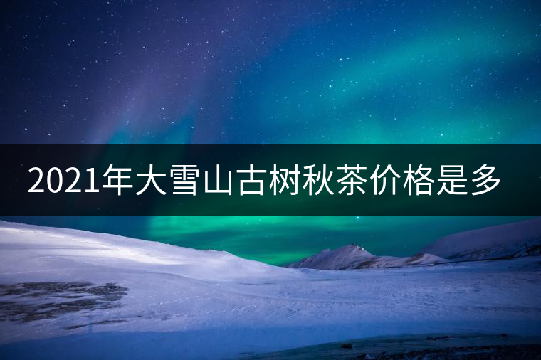 2021年大雪山古樹秋茶價(jià)格是多少？