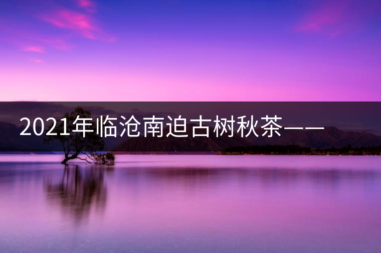 2021年臨滄南迫古樹秋茶——品質(zhì)僅次于冰島的茶山