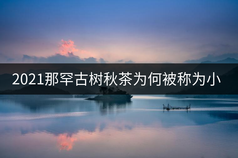 2021那罕古樹(shù)秋茶為何被稱(chēng)為小昔歸？
