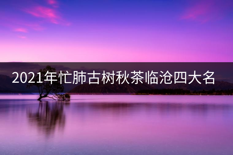 2021年忙肺古樹(shù)秋茶臨滄四大名茶之一！