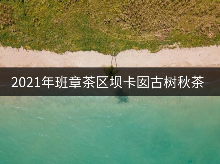 2021年班章茶區(qū)壩卡囡古樹(shù)秋茶多少錢一公斤？