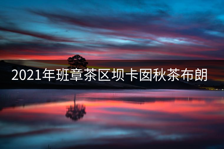 2021年班章茶區(qū)壩卡囡秋茶布朗茶系中的甜茶類！