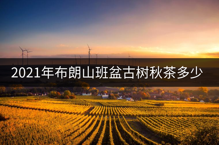 2021年布朗山班盆古樹秋茶多少錢一公斤？