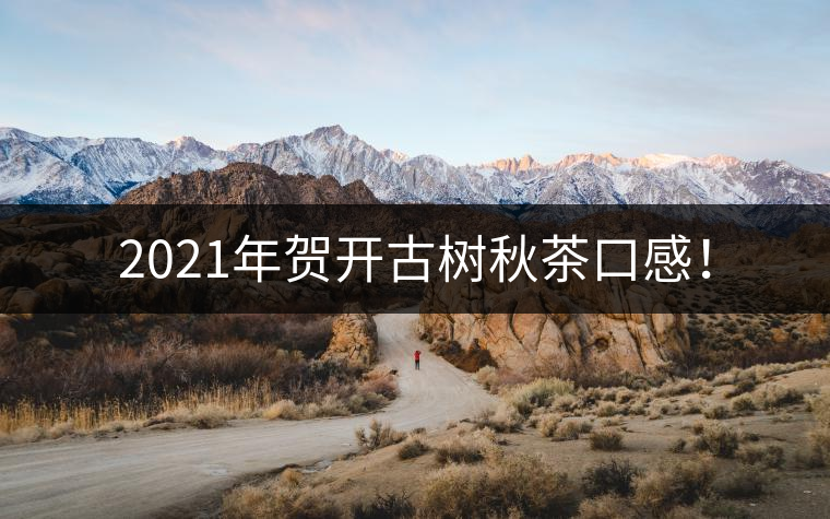 2021年賀開古樹秋茶口感！
