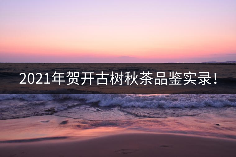 2021年賀開古樹秋茶品鑒實錄！