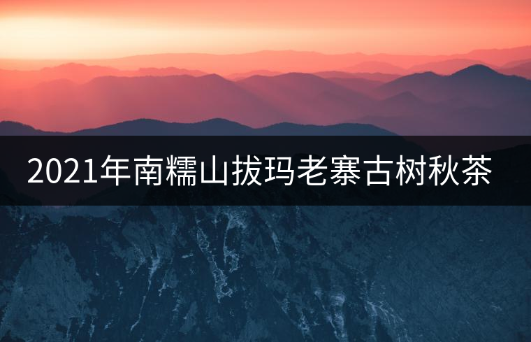 2021年南糯山拔瑪老寨古樹(shù)秋茶價(jià)格？