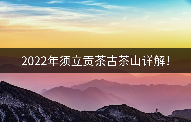 2022年須立貢茶古茶山詳解！