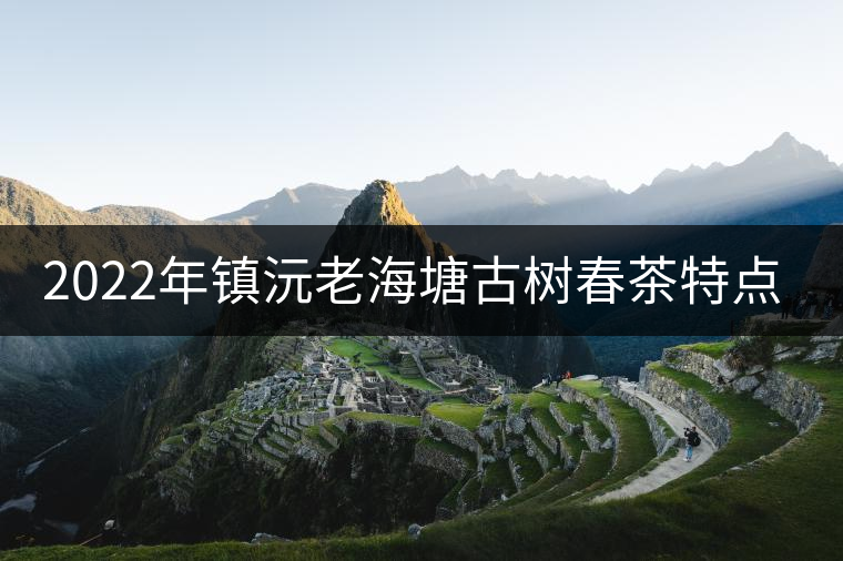 2022年鎮(zhèn)沅老海塘古樹春茶特點(diǎn)？