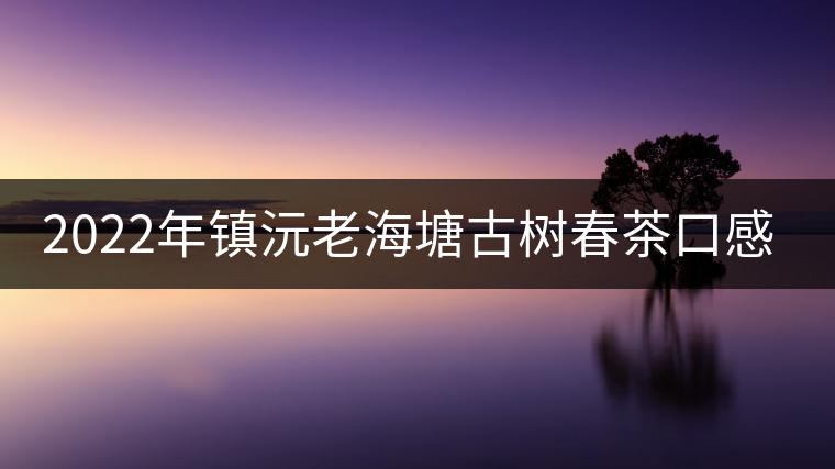 2022年鎮(zhèn)沅老海塘古樹春茶口感? 2022年鎮(zhèn)沅老海塘古樹春茶口感?