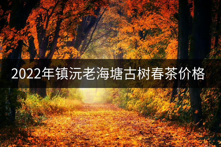 2022年鎮(zhèn)沅老海塘古樹(shù)春茶價(jià)格？