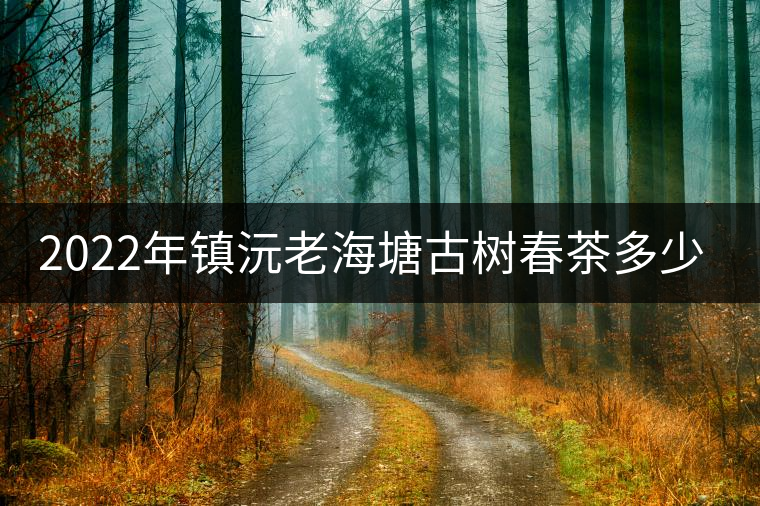 2022年鎮(zhèn)沅老海塘古樹(shù)春茶多少錢一公斤?