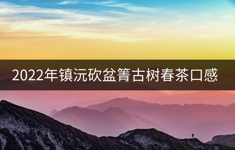 2022年鎮(zhèn)沅砍盆箐古樹春茶口感? 2022年鎮(zhèn)沅砍盆箐古樹春茶口感?