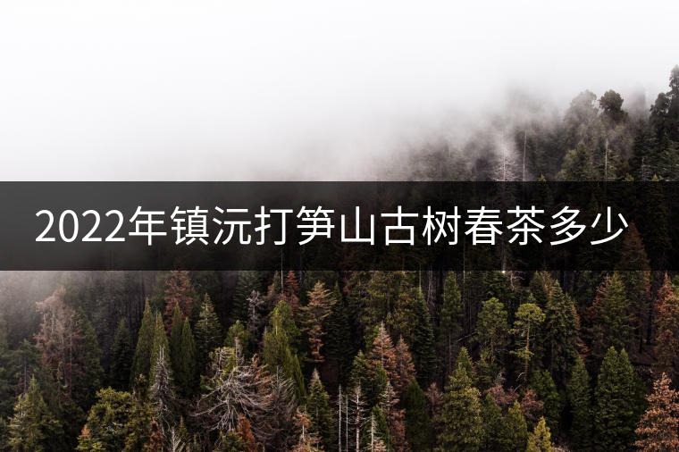 2022年鎮(zhèn)沅打筍山古樹春茶多少錢一公斤？