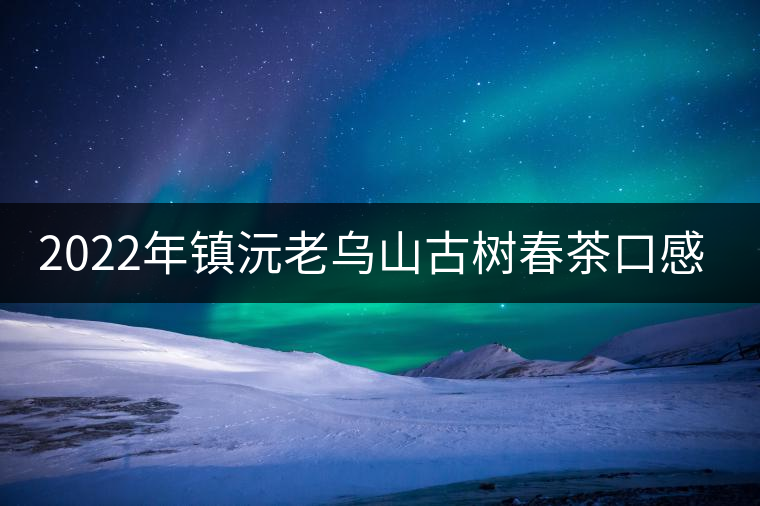 2022年鎮(zhèn)沅老烏山古樹春茶口感? 2022年鎮(zhèn)沅老烏山古樹春茶口感?