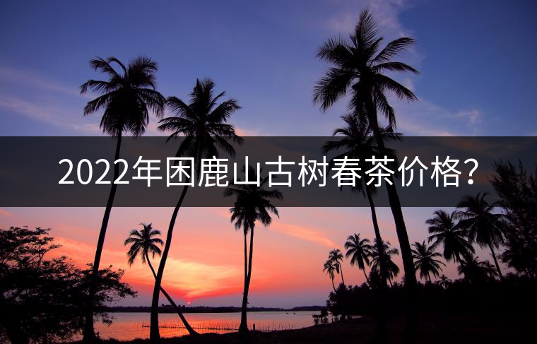 2022年困鹿山古樹春茶價(jià)格？