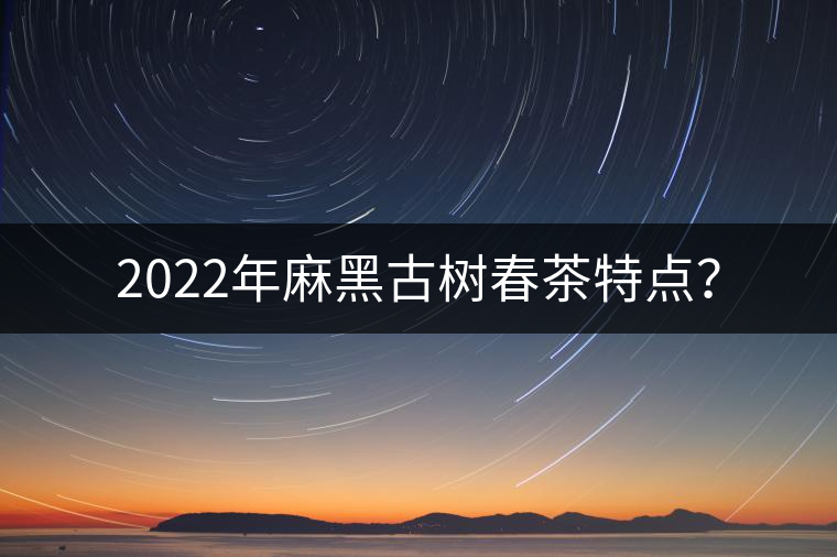 2022年麻黑古樹春茶特點？