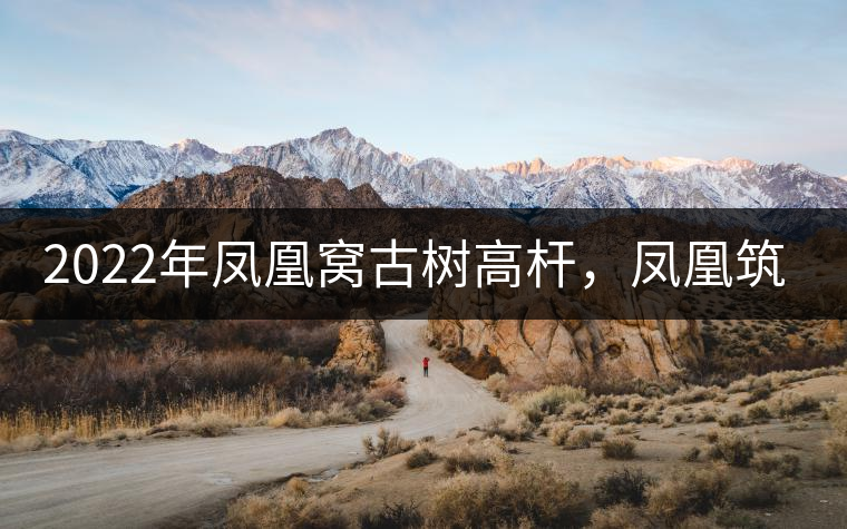 2022年鳳凰窩古樹高桿，鳳凰筑巢的地方