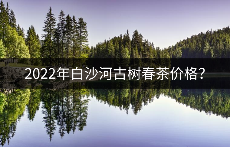 2022年白沙河古樹春茶價格？