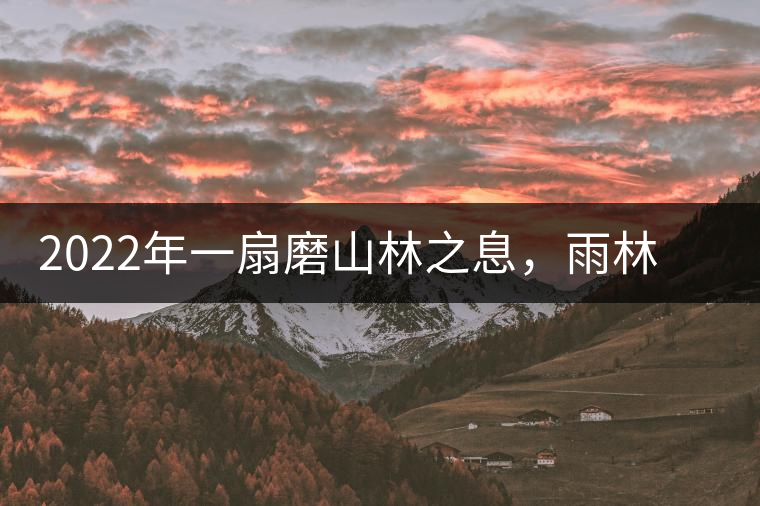 2022年一扇磨山林之息，雨林之味，原始之態(tài)