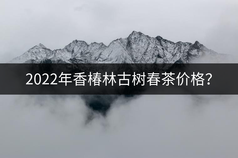 2022年香椿林古樹春茶價格? 2022年香椿林古樹春茶價格?