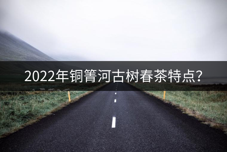 2022年銅箐河古樹春茶特點？
