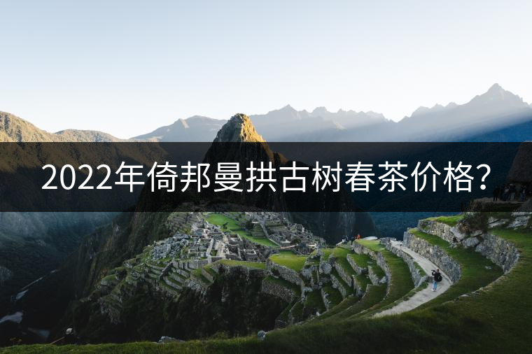 2022年倚邦曼拱古樹春茶價(jià)格？