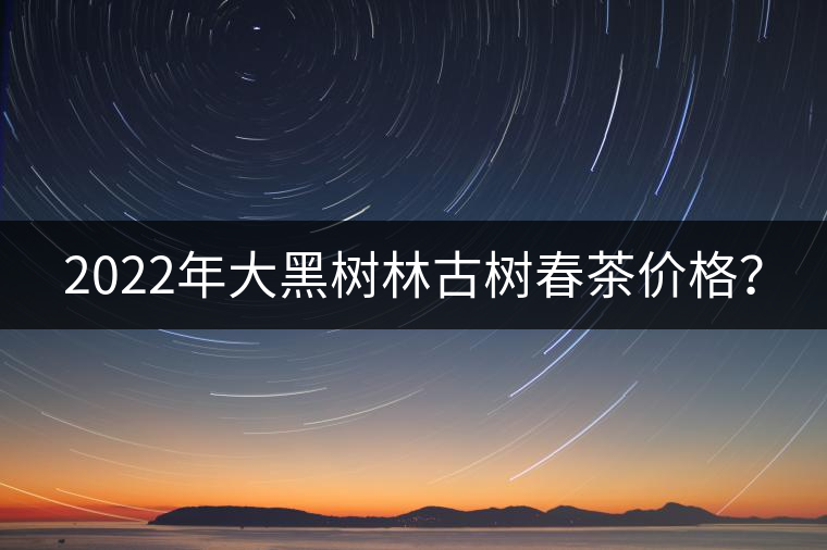 2022年大黑樹(shù)林古樹(shù)春茶價(jià)格? 2022年大黑樹(shù)林古樹(shù)春茶價(jià)格?