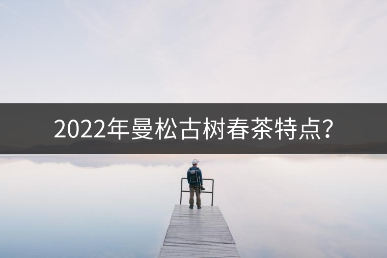 2022年曼松古樹春茶特點(diǎn)？