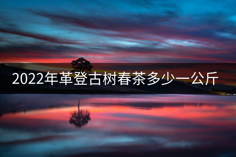 2022年革登古樹春茶多少一公斤？