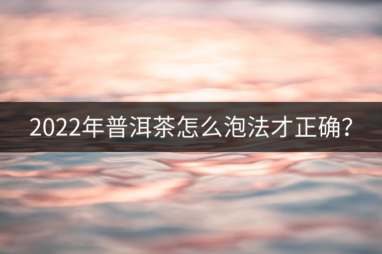 2022年普洱茶怎么泡法才正確？