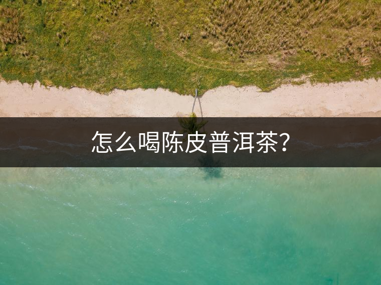 怎么喝陳皮普洱茶？