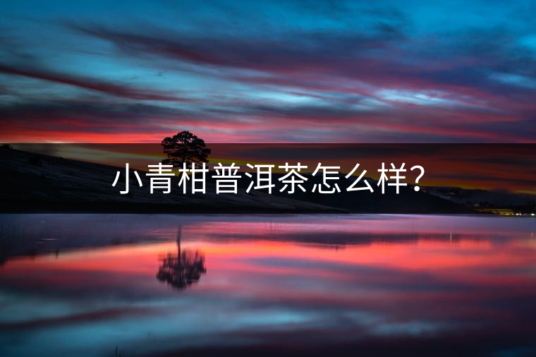 小青柑普洱茶怎么樣？